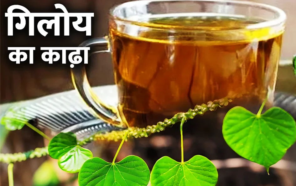 गिलोय काढ़ा पीने के फायदे