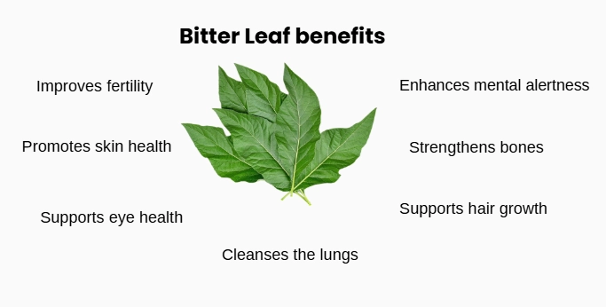 bitter leaf benefits