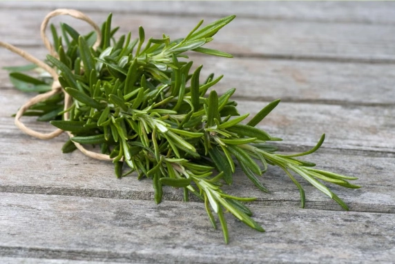 how to use rosemary leaves for hair in Hindi 