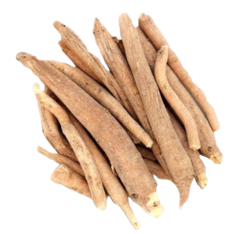 अश्वगंधा