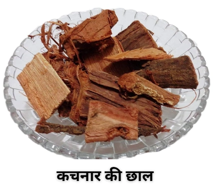 कचनार की छाल