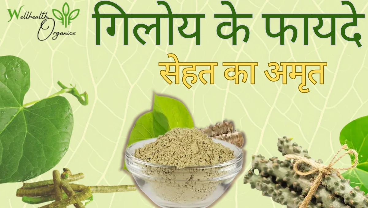 गिलोय के फायदे