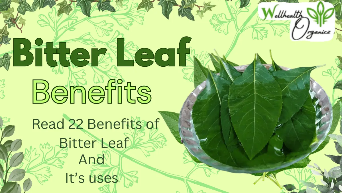 Bitter Leaf benefits