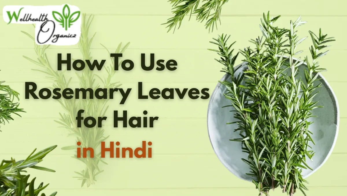 how to use rosemary leaves for hair in Hindi